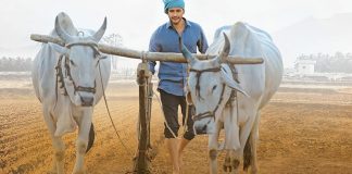 Maharshi pre release function on 1 May