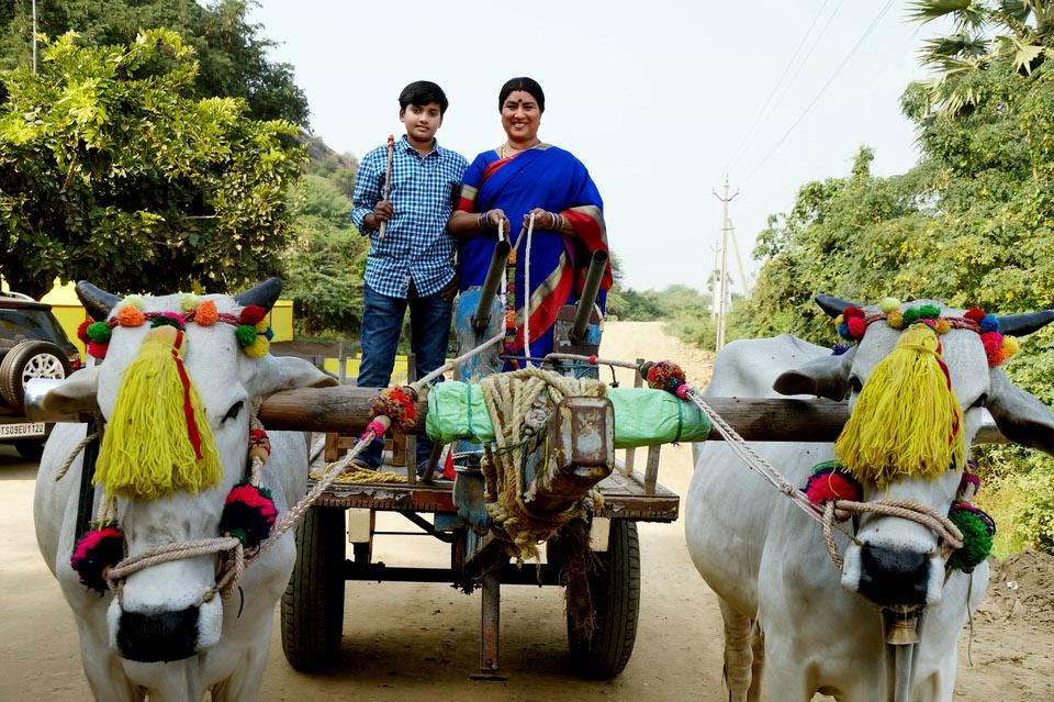 అన్నపూర్ణమ్మ గారి మనవడు వర్కింగ్ స్టిల్స్