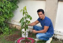 sonu sood green india challenge