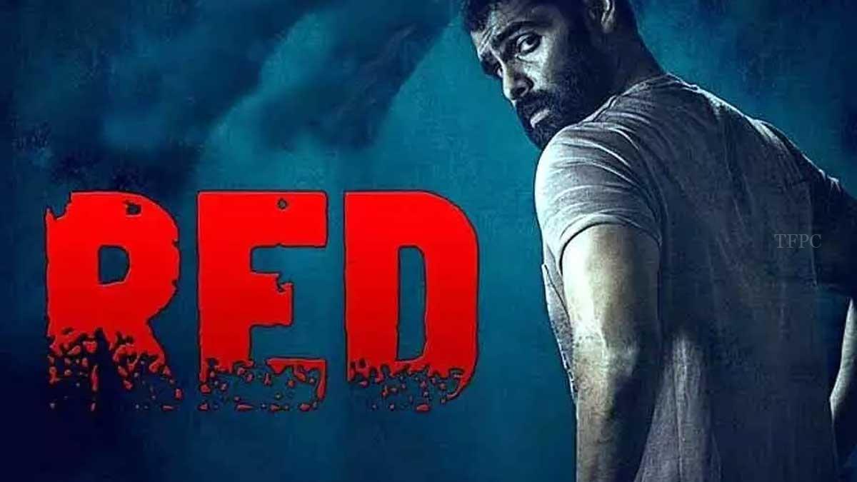 RED 4 DAYS COLLECTIONS