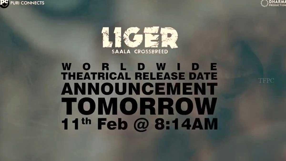 liger release date announcement