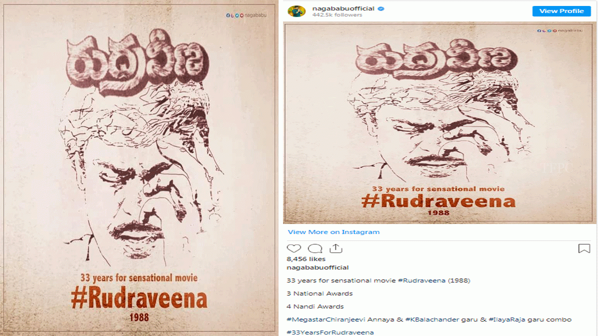 Rudraveena Megastar